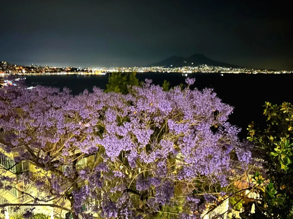 Posillipo by night